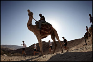 Petra Desert Marathon (1)